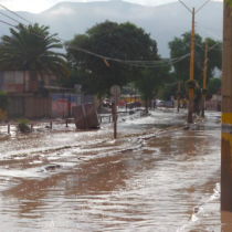 Anteproyecto de Ley Marco de Cambio Climático: ¿y la acción cuándo?