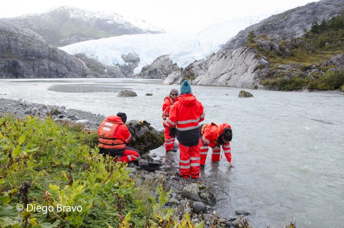 Estudio revela que microalgas de aguas frías podrían ayudar a mitigar el exceso de CO2 en la atmósfera Estudio revela que microalgas de aguas frías podrían ayudar a mitigar el exceso de CO2 en la atmósfera