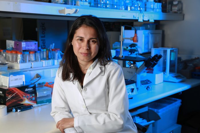 Nuevo test de virus respiratorios valida su efectividad en muestras de pacientes Nuevo test de virus respiratorios valida su efectividad en muestras de pacientes