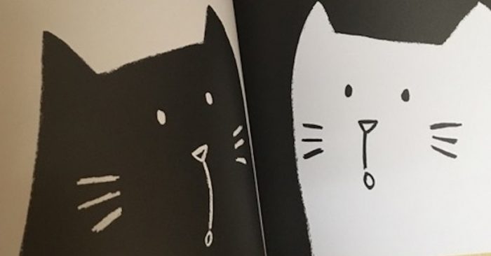 Libro infantil “Gato negro, Gata Blanca”: enseñar sobre el valor de las diferencias Libro infantil “Gato negro, Gata Blanca”: enseñar sobre el valor de las diferencias