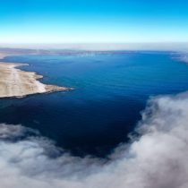 La lucha de los habitantes de Bahía Chascos por proteger la biodiversidad del lugar ante proyecto energético