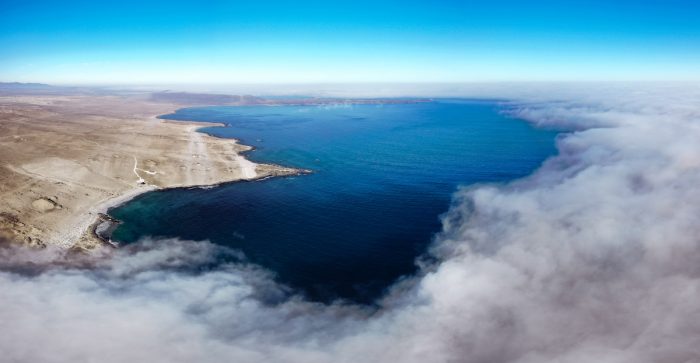 La lucha de los habitantes de Bahía Chascos por proteger la biodiversidad del lugar ante proyecto energético La lucha de los habitantes de Bahía Chascos por proteger la biodiversidad del lugar ante proyecto energético