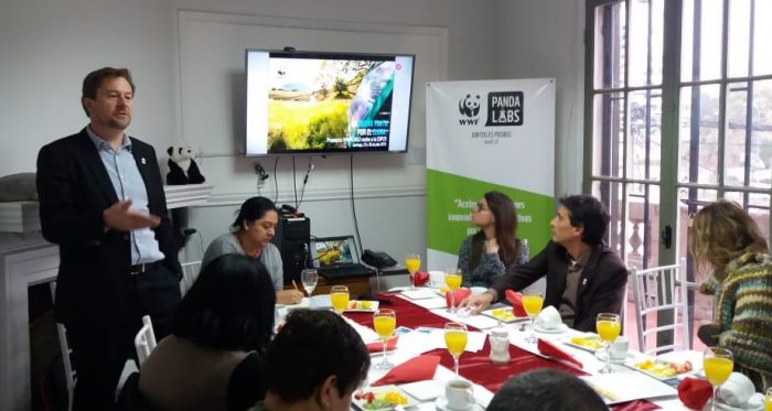 COP25: WWF presenta propuestas para descarbonizar Chile y adaptarse al cambio climático COP25: WWF presenta propuestas para descarbonizar Chile y adaptarse al cambio climático