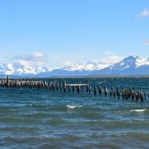 Anuncian nuevos vuelos directos a Puerto Natales para potenciar turismo