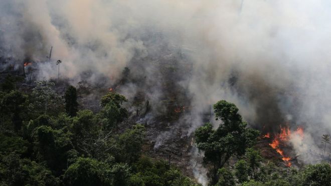 Incendios en el Amazonas: 3 mapas que muestran la dimensión de los fuegos Incendios en el Amazonas: 3 mapas que muestran la dimensión de los fuegos