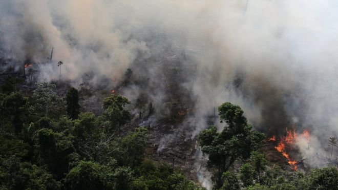 Incendios en el Amazonas: el número récord de fuegos que afectan a Brasil y que también arrasan otros países de Sudamérica