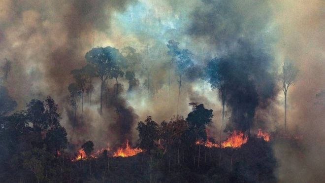 Incendios en la Amazonía: Bolsonaro dice que acepta ayuda internacional siempre que tenga control sobre el dinero Incendios en la Amazonía: Bolsonaro dice que acepta ayuda internacional siempre que tenga control sobre el dinero