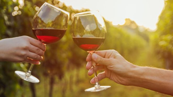 Por qué el vino tinto puede ser bueno para tus intestinos (si lo bebes con moderación) Por qué el vino tinto puede ser bueno para tus intestinos (si lo bebes con moderación)