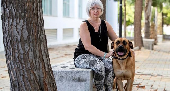Perros ayudan terapéuticamente a víctimas de violencia machista en España Perros ayudan terapéuticamente a víctimas de violencia machista en España