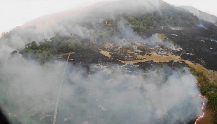 Ambientalistas exigen medidas concretas para frenar incendio en el Amazonas Ambientalistas exigen medidas concretas para frenar incendio en el Amazonas