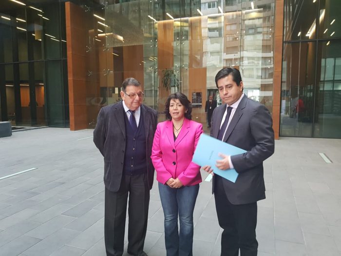 Oposición no lo dejó pasar: senadores presentaron denuncia ante la fiscalía contra Cecilia Pérez por sus dichos sobre el PS Oposición no lo dejó pasar: senadores presentaron denuncia ante la fiscalía contra Cecilia Pérez por sus dichos sobre el PS