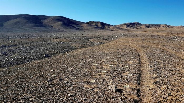 El viento que lleva vida al Desierto de Atacama El viento que lleva vida al Desierto de Atacama