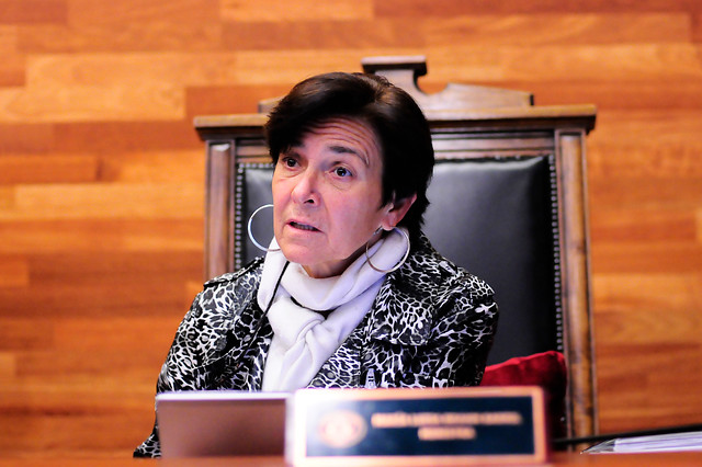 Por vínculos con Piñera: diputados Díaz y Hirsch rechazan eventual nominación de Brahm como presidenta del TC Por vínculos con Piñera: diputados Díaz y Hirsch rechazan eventual nominación de Brahm como presidenta del TC