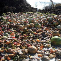Grupo de expertos de la ONU llama a controlar la agricultura y el despilfarro de alimentos para frenar el Cambio Climático