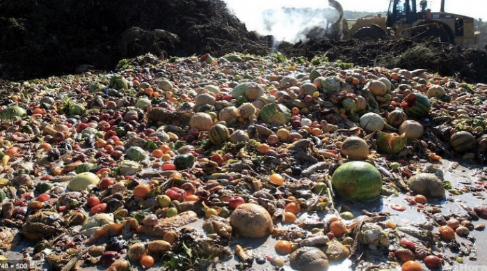 Grupo de expertos de la ONU llama a controlar la agricultura y el despilfarro de alimentos para frenar el Cambio Climático Grupo de expertos de la ONU llama a controlar la agricultura y el despilfarro de alimentos para frenar el Cambio Climático