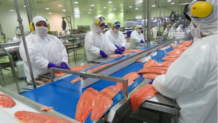 Nova Austral: la crítica viabilidad financiera de la salmonera que manipuló todos sus datos y alteró el fondo marino Nova Austral: la crítica viabilidad financiera de la salmonera que manipuló todos sus datos y alteró el fondo marino