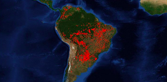 Paulo Moutinho, científico brasileño, ante la tragedia en la Amazonía: «Lo más urgente es detener la deforestación» Paulo Moutinho, científico brasileño, ante la tragedia en la Amazonía: «Lo más urgente es detener la deforestación»