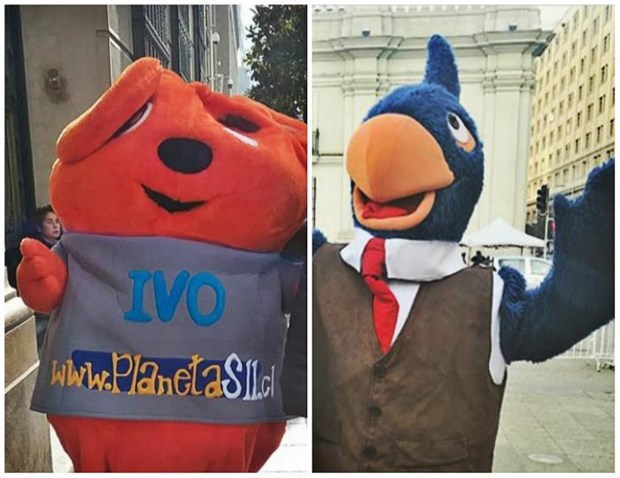 Guerra de corpóreos: Contralorito vs. Ivo, la chinchilla del SII Guerra de corpóreos: Contralorito vs. Ivo, la chinchilla del SII
