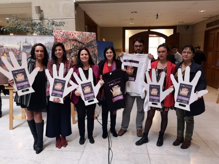 Ley Gabriela: Karol Cariola llama a los senadores de la Comisión de Constitución a no entrampar el trámite Ley Gabriela: Karol Cariola llama a los senadores de la Comisión de Constitución a no entrampar el trámite