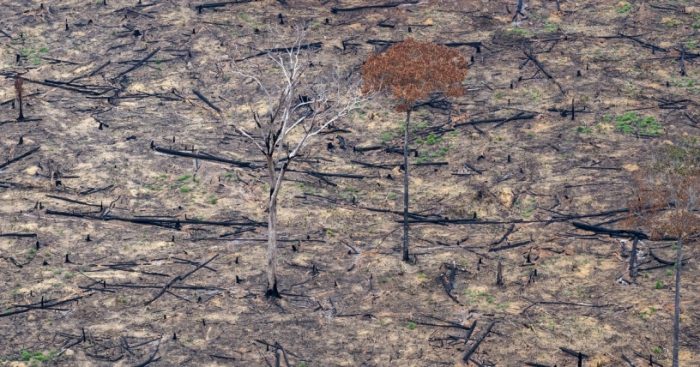 Tras informe IPCC, Fundación Terram llama a regular la industria agrícola en Chile Tras informe IPCC, Fundación Terram llama a regular la industria agrícola en Chile