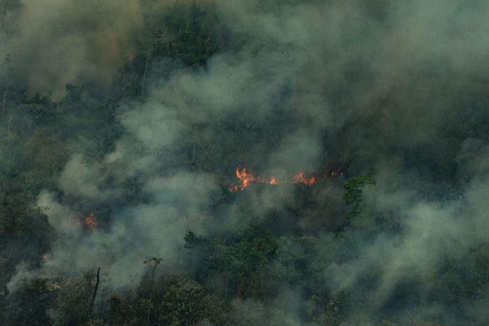 DesBolsonarizar la Amazonía DesBolsonarizar la Amazonía
