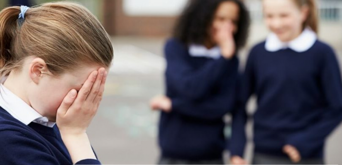 Bullying y salud mental: comentarios a la encuesta nacional de juventud Bullying y salud mental: comentarios a la encuesta nacional de juventud