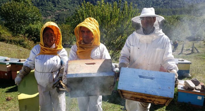 Apicultores diversifican su producción en innovadores productos para reactivar el rubro Apicultores diversifican su producción en innovadores productos para reactivar el rubro