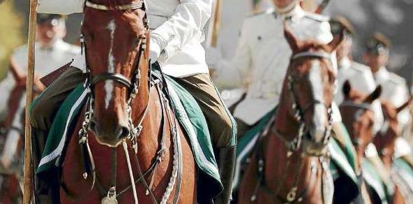 Ejército inicia investigación para aclarar desaparición de dos caballos fina sangre desde Regimiento Ejército inicia investigación para aclarar desaparición de dos caballos fina sangre desde Regimiento