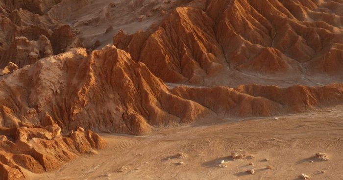 Astrobiólogo chileno investiga la adaptación de vida en Desierto de Atacama para proponer modelo análogo de Marte Astrobiólogo chileno investiga la adaptación de vida en Desierto de Atacama para proponer modelo análogo de Marte