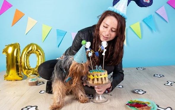 La creciente tendencia de celebrar el cumpleaños de las mascotas La creciente tendencia de celebrar el cumpleaños de las mascotas