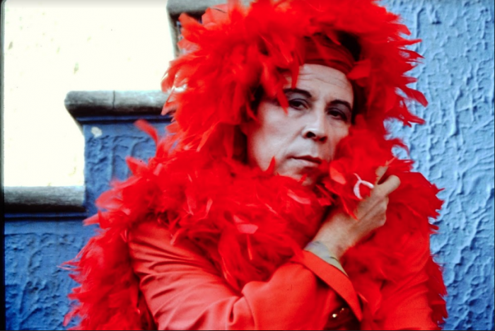 DART, el festival de cine documental sobre arte contemporáneo, llega a Chile
