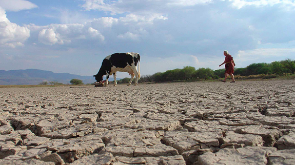 Qué hacer con la escasez de agua en el sector agrícola: soluciones para hoy