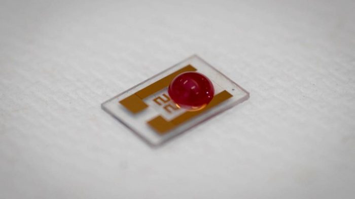 Crean chip que puede detectar tempranamente el cáncer Crean chip que puede detectar tempranamente el cáncer