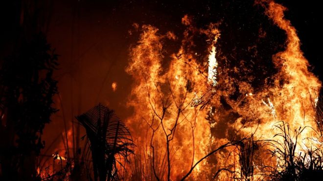 Por qué Noruega donó US$1.200 millones al Amazonas durante 10 años y dejó de hacerlo justo antes de los últimos incendios Por qué Noruega donó US$1.200 millones al Amazonas durante 10 años y dejó de hacerlo justo antes de los últimos incendios