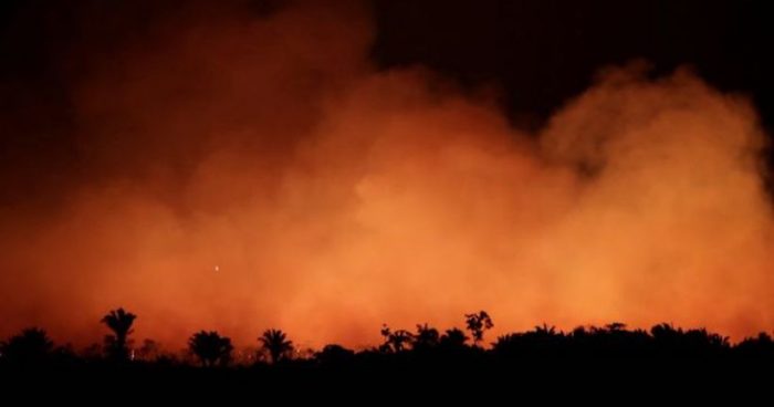 Incendios en el Amazonas: cómo la selva amazónica se volvió más inflamable pese a ser uno de los lugares más húmedos del mundo Incendios en el Amazonas: cómo la selva amazónica se volvió más inflamable pese a ser uno de los lugares más húmedos del mundo
