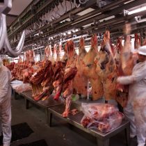 Repensando el consumo de carne más allá del cambio climático
