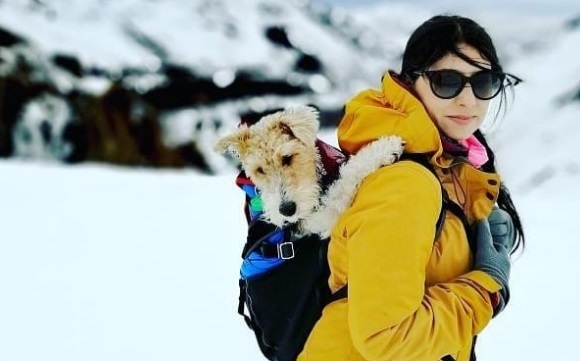 Cómo disfrutar de una vida outdoor junto a tu mascota Cómo disfrutar de una vida outdoor junto a tu mascota