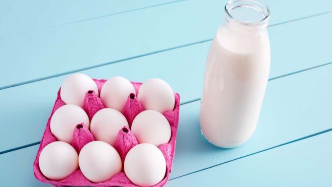Colina: el poco conocido nutriente que todo vegano debería tomar Colina: el poco conocido nutriente que todo vegano debería tomar
