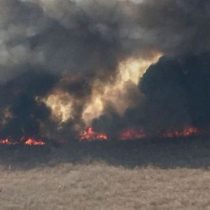 Incendios en el Amazonas: ¿qué pasó con las llamas que arrasaban las selvas en Brasil, Bolivia y Paraguay?