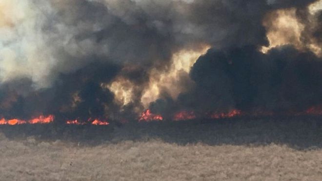 Incendios en el Amazonas: ¿qué pasó con las llamas que arrasaban las selvas en Brasil, Bolivia y Paraguay?