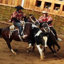 Aunque no les guste a los veganos, el Rodeo Chileno es deporte reconocido