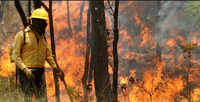 Ad portas de la temporada de incendios forestales Conaf vive su propio siniestro: cambian jefe cada dos meses Ad portas de la temporada de incendios forestales Conaf vive su propio siniestro: cambian jefe cada dos meses