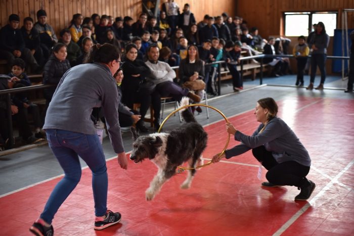 Más de 3 mil estudiantes aprendieron sobre el cuidado responsable de mascotas Más de 3 mil estudiantes aprendieron sobre el cuidado responsable de mascotas