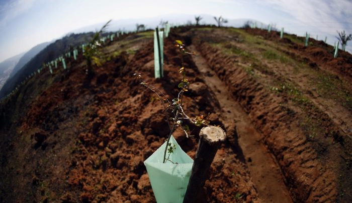 Reabastecer el agua: un compromiso prioritario Reabastecer el agua: un compromiso prioritario
