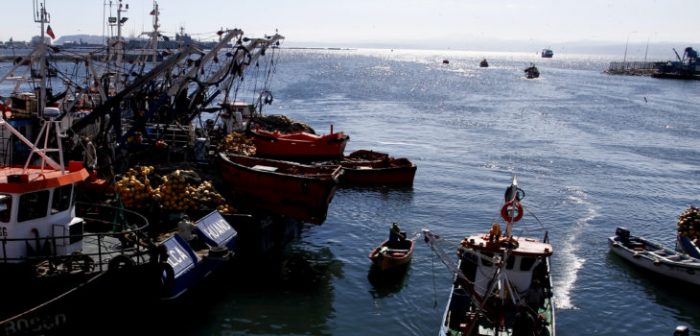 Las «siete familias» y Lota Protein: el regreso de los operadores en la Ley de Pesca Las