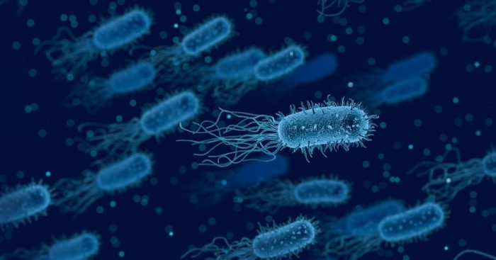 Físicos chilenos crean micromotores biológicos que permitirían dirigir el movimiento de las bacterias Físicos chilenos crean micromotores biológicos que permitirían dirigir el movimiento de las bacterias