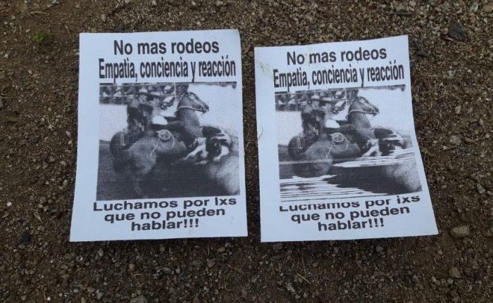Animalistas queman medialuna de Curacaví en protesta contra el rodeo: no podrá funcionar estas Fiestas Patrias Animalistas queman medialuna de Curacaví en protesta contra el rodeo: no podrá funcionar estas Fiestas Patrias