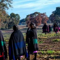 Mujeres de Temucuicui rechazan el feminismo en la lucha por el territorio ancestral: «No permitimos ningún tipo de ideología foránea»