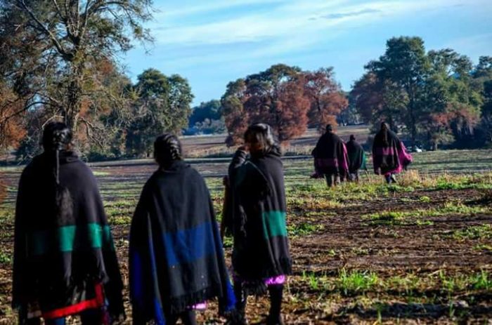 Mujeres de Temucuicui rechazan el feminismo en la lucha por el territorio ancestral: “No permitimos ningún tipo de ideología foránea” Mujeres de Temucuicui rechazan el feminismo en la lucha por el territorio ancestral: “No permitimos ningún tipo de ideología foránea”