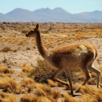 Cambio climático también amenaza a la industria del turismo